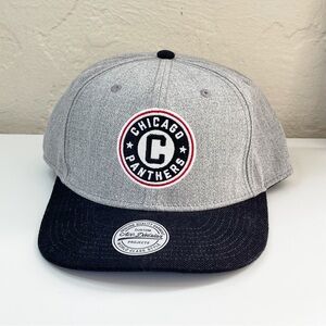 H&M Chicago Panthers Baseball Hat NEW